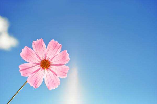 数学答题技巧!贵州成考数学怎么蒙到40分以上?