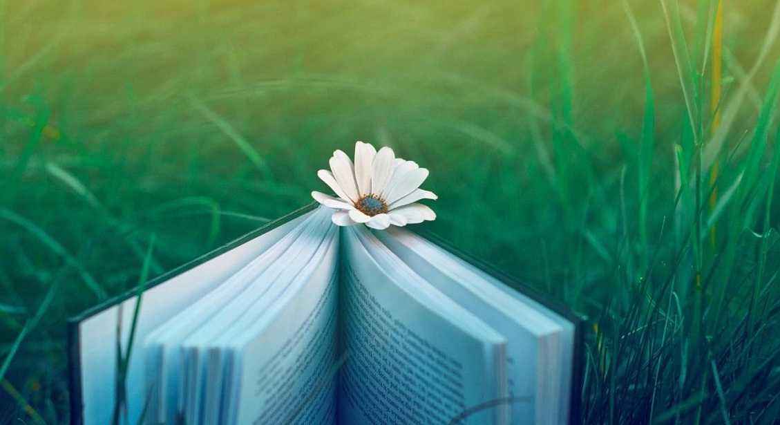 函授本科最快多久能毕业?