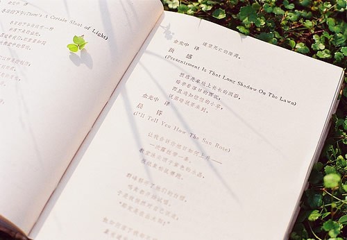 2020年贵州成人高考考试时间在什么时候?