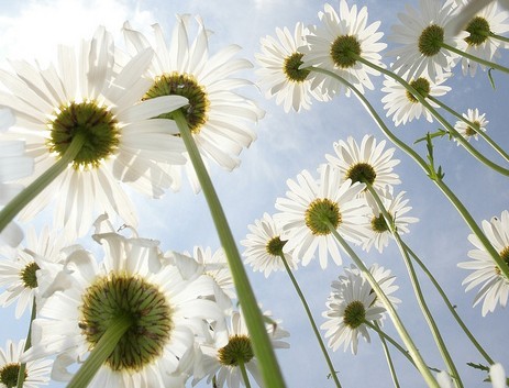 贵州成人学位证书编号和毕业证编号的区别有哪些?