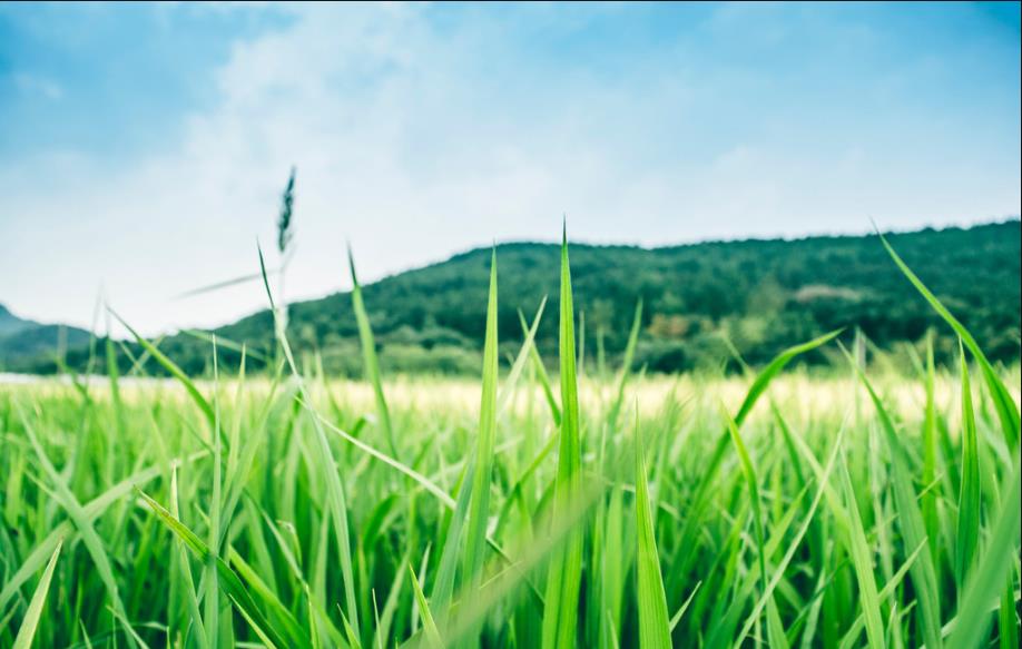 贵州成人函授大专是开卷考试吗?