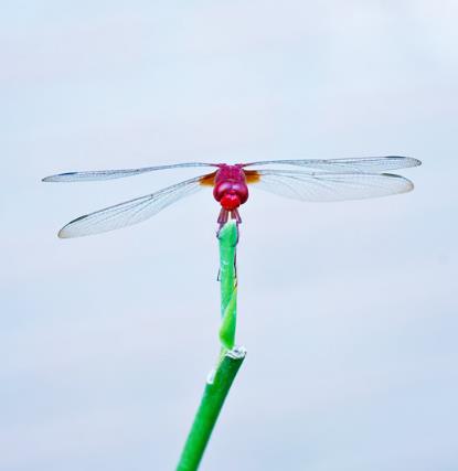 贵州函授大专跟普通大专有什么区别?