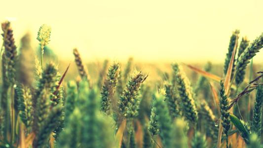 贵州成人高考有什么学校可以报考?