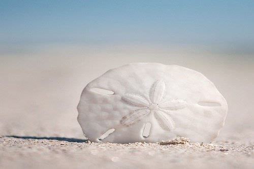 异地考生可以报贵阳成人高考吗?