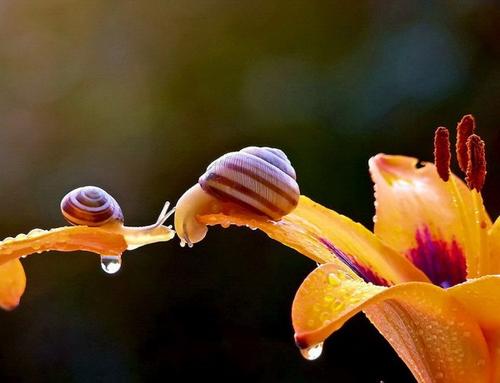 贵阳成人高考选择业余学习方式必须去上课吗?