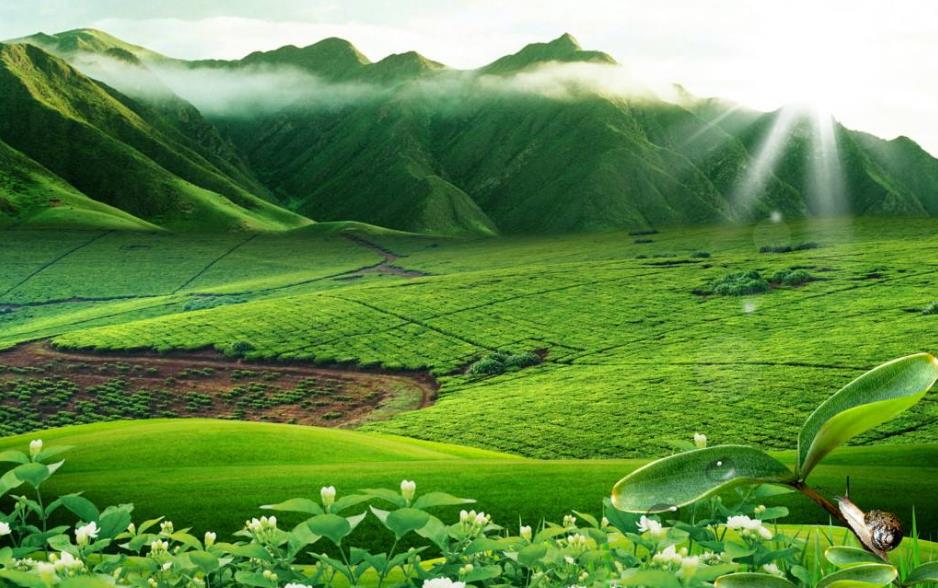 英语零基础怎么备考贵州成人高考呢?