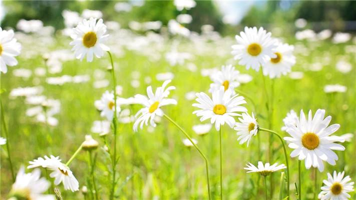 贵阳函授大专跟普通大专有什么区别?(图1) 贵阳函授大专跟普通大专有什么区别?(图1)
