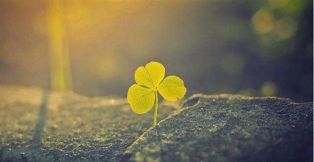 学历低是花时间提升学历好还是学习技术好?